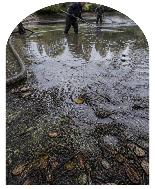 Очистка пруда в Егорьевске от ила мусора и водорослей с вывозом